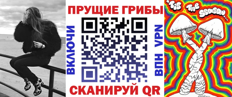 Галлюциногенные грибы Psilocybine cubensis  Купить  Тимашёвск 